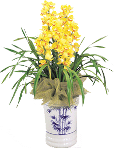 花卉租赁